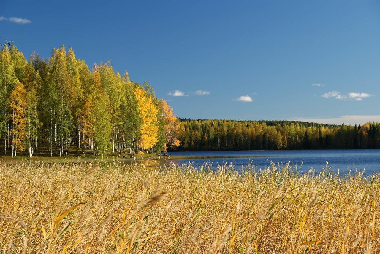Ik Hotel & Camping Кеуруу Екстер'єр фото